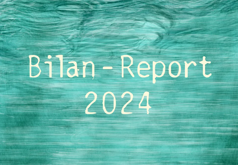 Bilan - Report Annecy Festival 2024