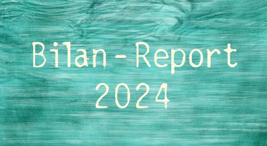 Bilan - Report Annecy Festival 2024